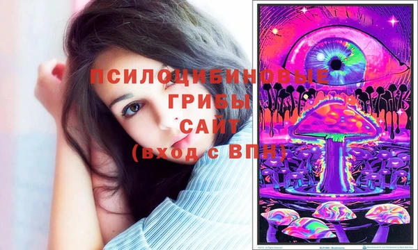 apvp Аксай