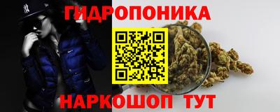 шишки Азнакаево