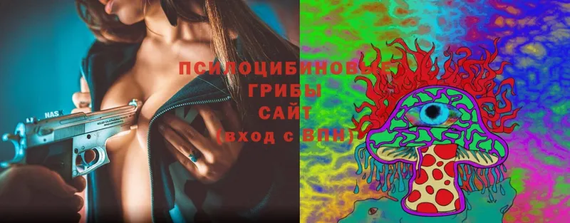 mega зеркало  Ангарск  Псилоцибиновые грибы Cubensis 