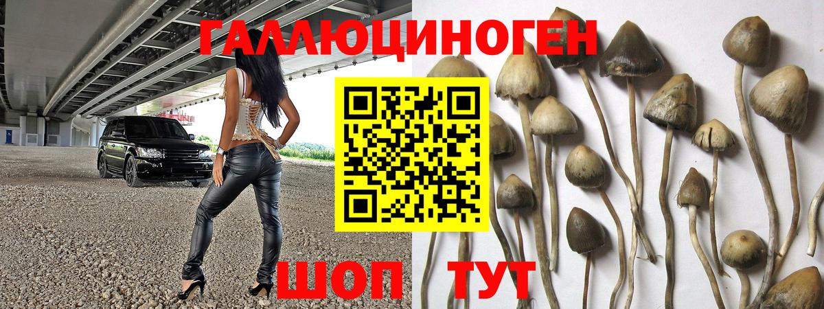Галлюциногенные грибы мицелий Ангарск