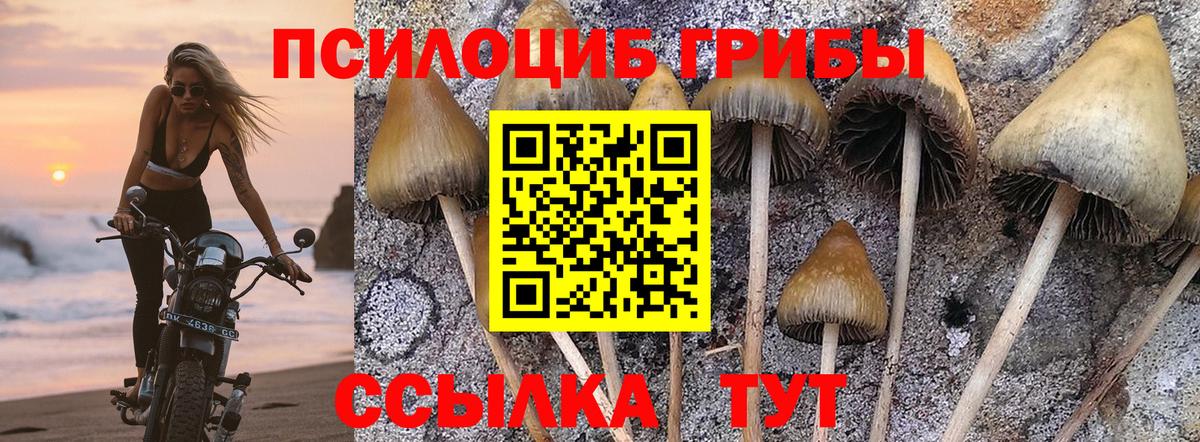 Псилоцибиновые грибы Magic Shrooms Ангарск