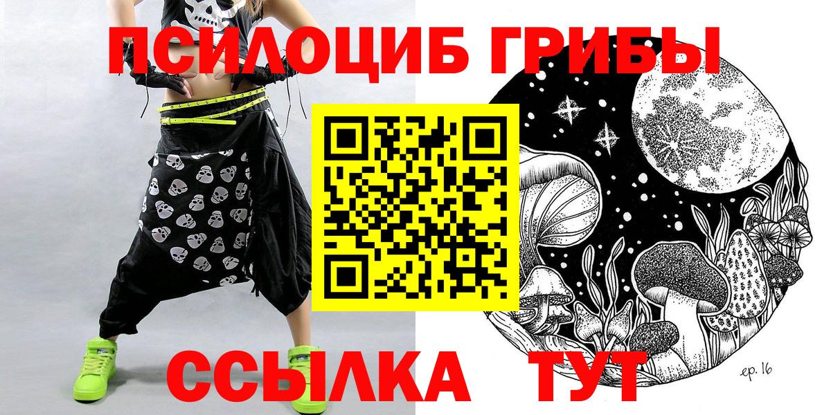 Галлюциногенные грибы Psilocybe Ангарск
