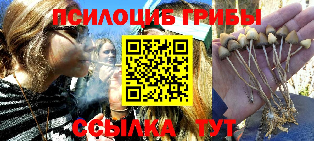 закладка  Вход с VPN  Ангарск  Галлюциногенные грибы GOLDEN TEACHER 