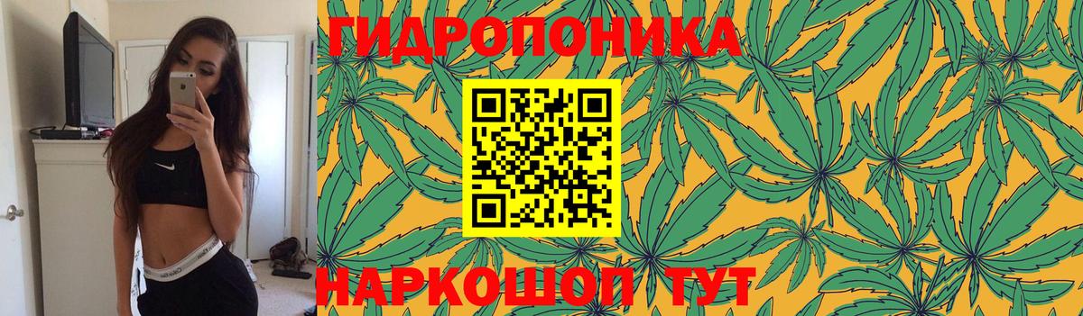 Канабис конопля  Канабис план  Вход с VPN  Бошки Шишки Amnesia  Ангарск  МАРИХУАНА THC 21% 