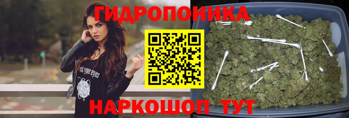 Конопля план  Конопля тримм  Вход с VPN  Шишки марихуана MAZAR  Ангарск 